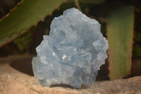 Natural Blue Celestite Crystal Specimens  x 6 From Sakoany, Madagascar