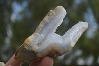 Natural Blue Lace Agate Geode Specimens  x 6 From Nsanje, Malawi - Toprock Gemstones and Minerals 