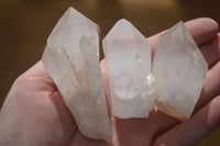 Natural Large Candle Quartz Crystals  x 12 From Madagascar