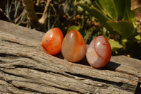 Polished Small Carnelian Agate Eggs  x 20 From Madagascar - TopRock