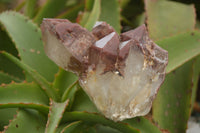 Natural Red Hematoid Quartz Specimens x 2 From Karoi, Zimbabwe - TopRock