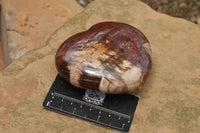 Polished Extra Large Petrified Red Podocarpus Wood Hearts  x 2 From Mahajanga, Madagascar - TopRock