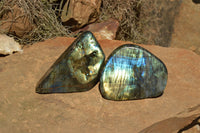 Polished Labradorite Standing Free Forms With Intense Blue & Gold Flash x 3 From Sakoany, Madagascar - TopRock