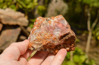 Natural Rough Pink & Black Rhodonite Specimens  x 6 From Zimbabwe - TopRock