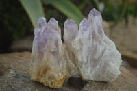 Natural Sugar Amethyst Clusters  x 6 From Zambia - Toprock Gemstones and Minerals 