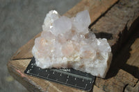 Natural White Spirit Cactus Quartz Clusters  x 2 From Boekenhouthoek, South Africa - Toprock Gemstones and Minerals 