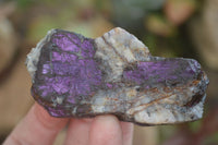 Natural Metallic Purpurite Cobbed Specimens  x 12 From Erongo, Namibia - Toprock Gemstones and Minerals 