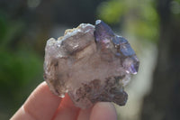 Natural Window Amethyst Crystals  x 12 From Chiredzi, Zimbabwe