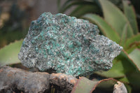 Natural Rare Emerald Mica In Matrix Cobbed Specimens x 3 From Mutoko, Zimbabwe