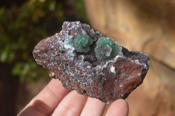 Natural Drusy Coated Ball Malachite On Dolomite Specimens  x 2 From Likasi, Congo