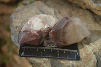 Natural Red Hematoid Quartz Specimens x 12 From Karoi, Zimbabwe