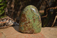 Polished Green Chrysoprase Standing Free Forms  x 4 From Madagascar