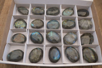 Polished  Flashy Labradorite Palm Stones  x 20 From Tulear, Madagascar