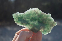 Polished One Side Polished Emerald Mtorolite Plates  x 12 From Zimbabwe