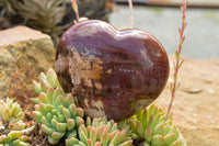 Polished Extra Large Petrified Red Podocarpus Wood Hearts  x 2 From Mahajanga, Madagascar - TopRock