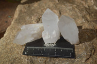 Natural Large Candle Quartz Crystals  x 12 From Madagascar