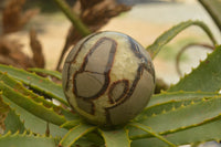 Polished Septarian (Calcite & Aragonite) Spheres  x 6 From Mahajanga, Madagascar - TopRock