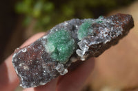 Natural Drusy Coated Ball Malachite On Dolomite Specimens  x 2 From Likasi, Congo