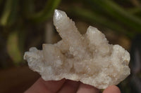 Natural White Spirit Quartz Clusters  x 12 From Boekenhouthoek, South Africa - Toprock Gemstones and Minerals 