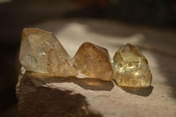 Natural Citrine Crystals  x 35 From Luena, Congo