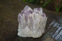 Natural Sugar Amethyst Clusters  x 6 From Zambia - Toprock Gemstones and Minerals 