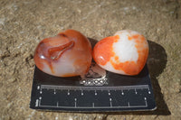 Polished Carnelian Agate Hearts  x 12 From Madagascar