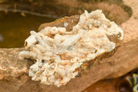 Natural Fluorescent Drusy Quartz Coated Dog Tooth Calcite Specimens x 6 From Alberts Mountain, Lesotho - TopRock