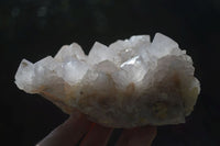 Natural White Spirit Cactus Quartz Clusters  x 2 From Boekenhouthoek, South Africa - Toprock Gemstones and Minerals 