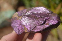 Natural Metallic Purpurite Cobbed Specimens  x 6 From Erongo, Namibia - Toprock Gemstones and Minerals 