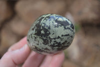 Polished Leopard Stone Free Forms  x 6 From Zimbabwe