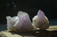 Natural Jacaranda Amethyst Clusters  x 6 From Mumbwa, Zambia - Toprock Gemstones and Minerals 