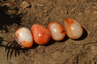 Polished Small Carnelian Agate Eggs  x 20 From Madagascar - TopRock