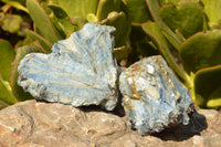 Natural Blue Kyanite Crystals In Schist Specimens  x 6 From Karoi, Zimbabwe - TopRock