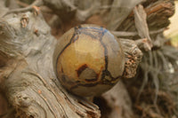 Polished Septarian (Calcite & Aragonite) Spheres  x 6 From Mahajanga, Madagascar - TopRock