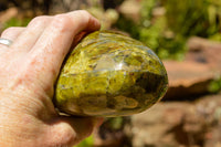 Natural Green Opal Standing Free Forms  x 2 From Madagascar - TopRock