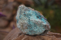 Natural Rough Shattuckite Cobbed Specimens x 12 From Kaokoveld, Namibia