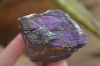 Natural Metallic Purpurite Cobbed Specimens  x 12 From Erongo, Namibia - Toprock Gemstones and Minerals 