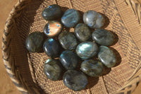 Polished  Flashy Labradorite Palm Stones  x 20 From Tulear, Madagascar