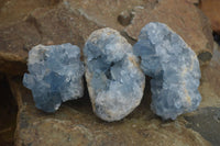 Natural Blue Celestite Crystal Specimens  x 3 From Sakoany, Madagascar - Toprock Gemstones and Minerals 