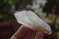 Natural Large Candle Quartz Crystals  x 12 From Madagascar