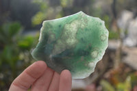 Polished One Side Polished Emerald Mtorolite Plates  x 12 From Zimbabwe