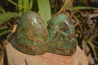 Polished Green Chrysoprase Standing Free Forms  x 4 From Madagascar