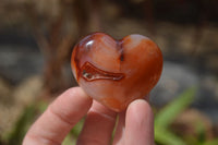 Polished Carnelian Agate Hearts  x 12 From Madagascar