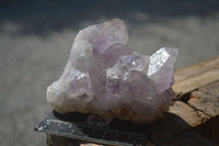 Natural Jacaranda Amethyst Clusters  x 6 From Mumbwa, Zambia - Toprock Gemstones and Minerals 