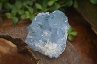 Natural Blue Celestite Crystal Specimens  x 3 From Sakoany, Madagascar - Toprock Gemstones and Minerals 