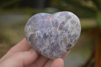 Polished Purple Lepidolite Hearts  x 6 From Madagascar - TopRock