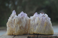 Natural Sugar Amethyst Clusters  x 6 From Zambia - Toprock Gemstones and Minerals 