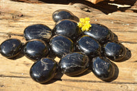 Polished Black Schorl Tourmaline Palm Stones  x 12 From Madagascar - TopRock