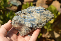 Natural Blue Kyanite Crystals In Schist Specimens  x 6 From Karoi, Zimbabwe - TopRock