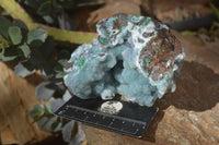 Natural Drusy Coated Ball Malachite On Dolomite Specimens  x 2 From Likasi, Congo